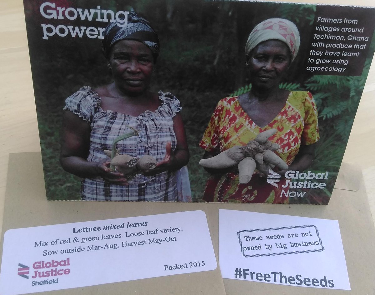 GlobalJusticeSH's tweet image. Visit our stall &amp;amp; #FreeTheSeeds at the Beighton Gala, #Sheffield, Sat, facebook.com/beightonvillag… #foodsovereignty