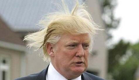 iHitDinger's tweet image. Who should be our next president?

•Retweet for Kent Murphy

•Favorite for Donald Trump