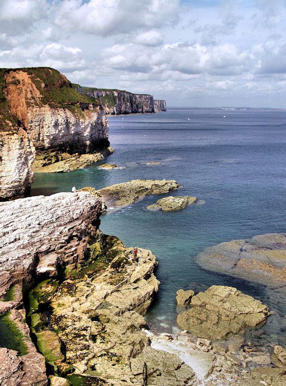 roytee3's tweet image. Looking towards Bempton and in the far distance,Filey, on a fine summers day