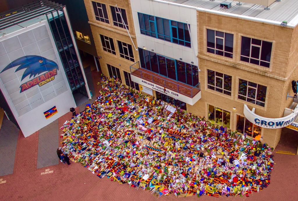 The capacity to care is what gives life its deepest significance. Thank you for the kindness &amp; support. <a href="/Adelaide_FC/">Adelaide Crows</a>