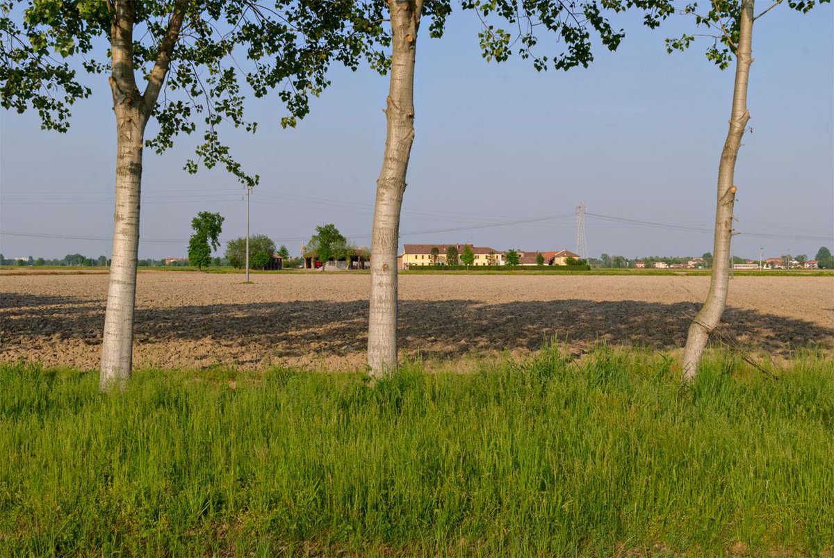 onlandscape's tweet photo. #SouthMilan #landscape #geography #GeoHumanities #Milan #italy #Expo2015 #Anthropocene http://t.co/nwD4Fi2DoB