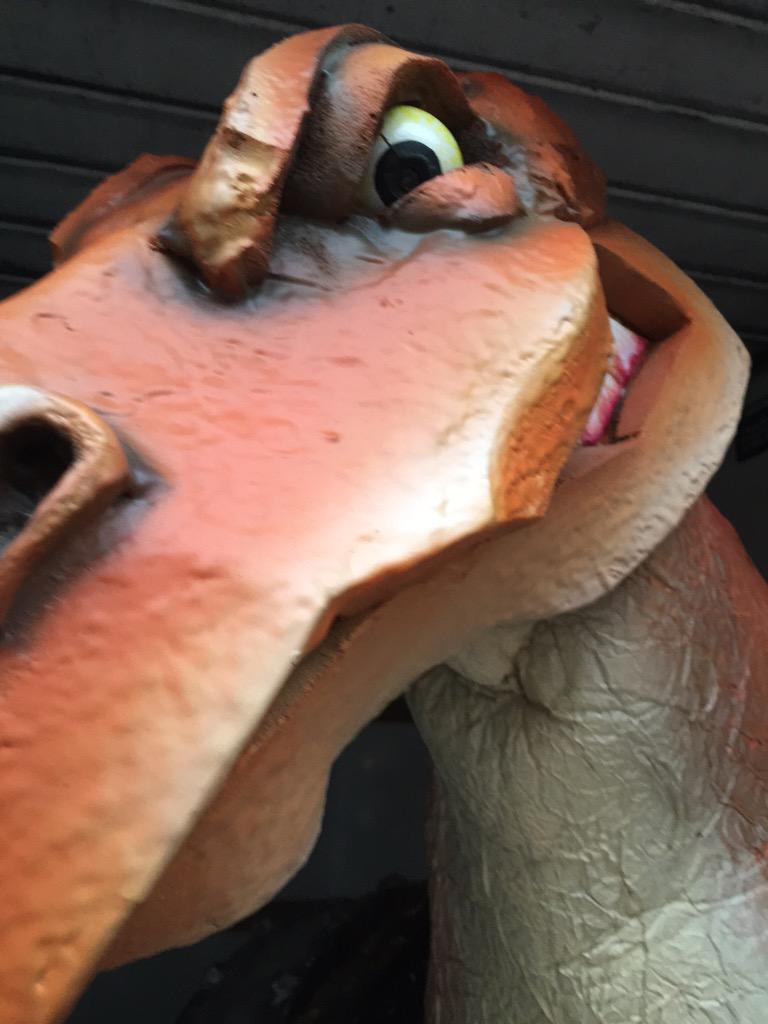 OpRexodus's tweet photo. @RandomLynx If only... Wait! http://t.co/dfA1u1MQAV
