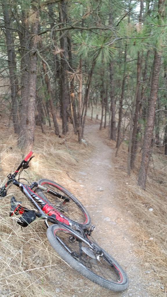 #mtb #BikeLife hit that follow button