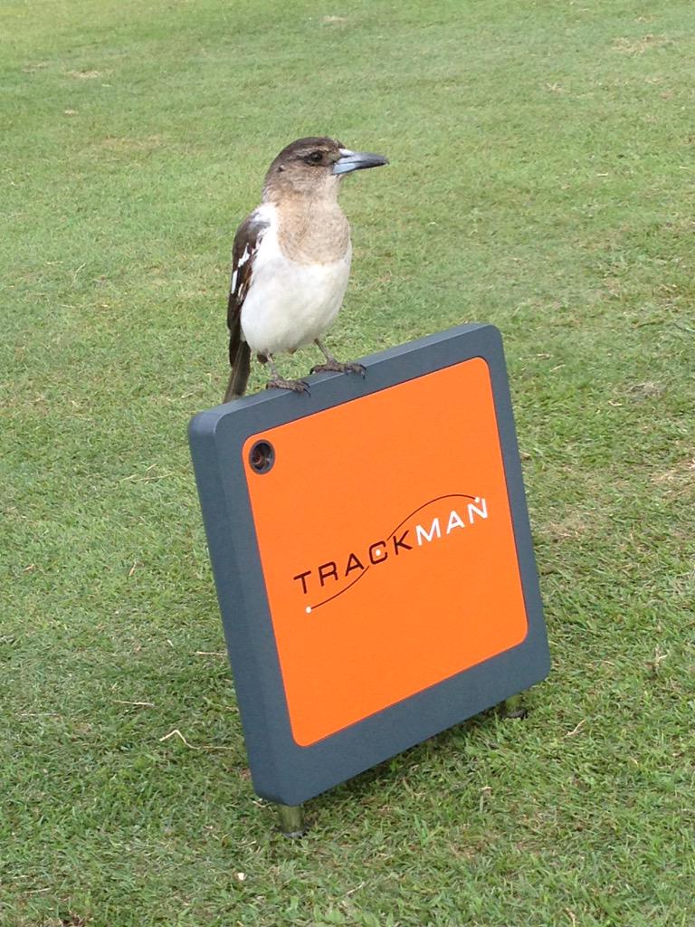 PGA_Steph's tweet photo. @brooksalmon the locals here @SanctuaryCoveGC are keen to purchase a unit. #featheredfriend http://t.co/mdFDwxRGJK