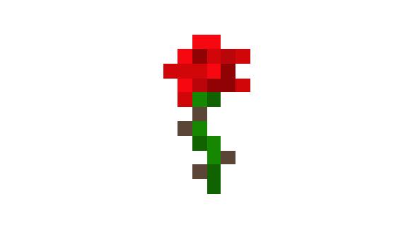 dungbui136 tweet picture