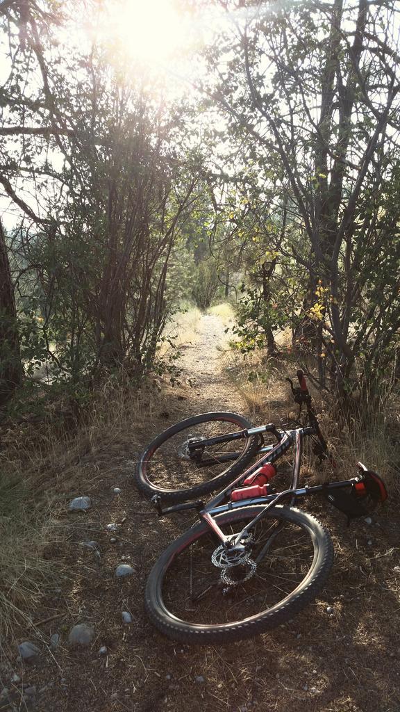 #mtb #BikeLife #follobackforfolloback hit that follow button