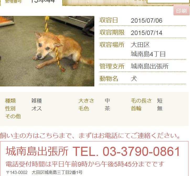 bot30134838's tweet photo. ＠doubutukyushutu:拡散RT goonyann09 東京都収容情報 収容日7/6　収容期限7/14
犬:雑種♂中型　茶　毛長短　大田区城南島4
※同所収容の犬の子？怯えながら尻尾振ってる。助けて欲しいのだ…http… http://t.co/7HVkYYsyMP
