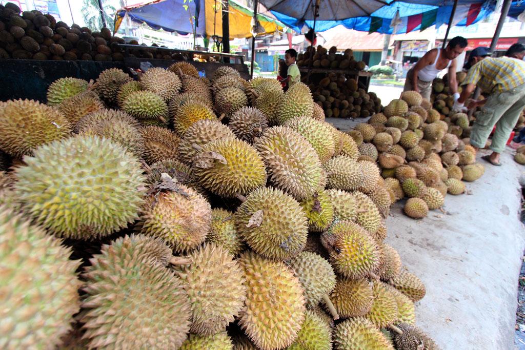 #MassMarket  #DailyLifeBTPN <a href="/sahabatBTPN/">-</a>  <a href="/NGIndonesia/">Nat Geo Indonesia</a>