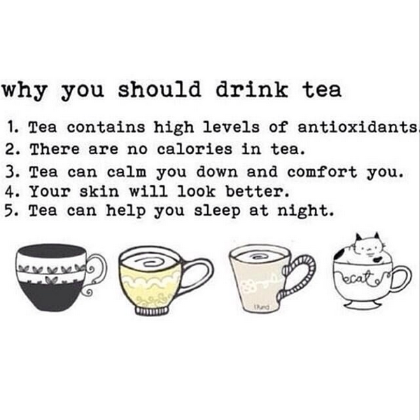 TishTashTalks's tweet image. 5 reasons why you should drink tea everyday – in case you need another reason ;) #lovetea #benefitsoftea