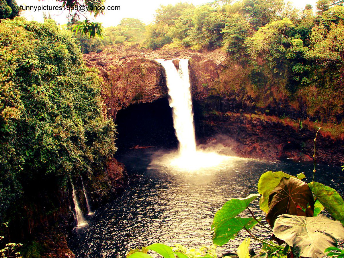 hotalling's tweet image. 