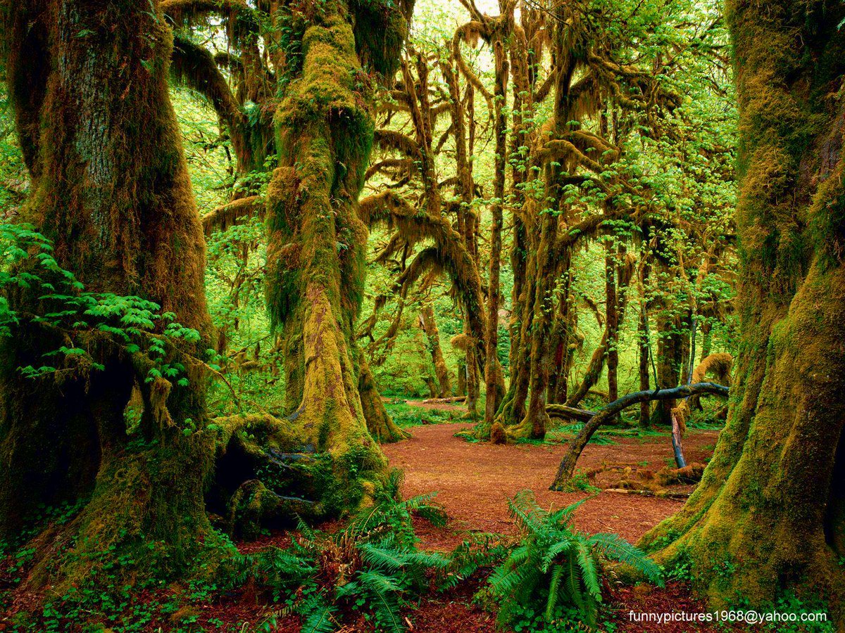 hotalling's tweet image. 