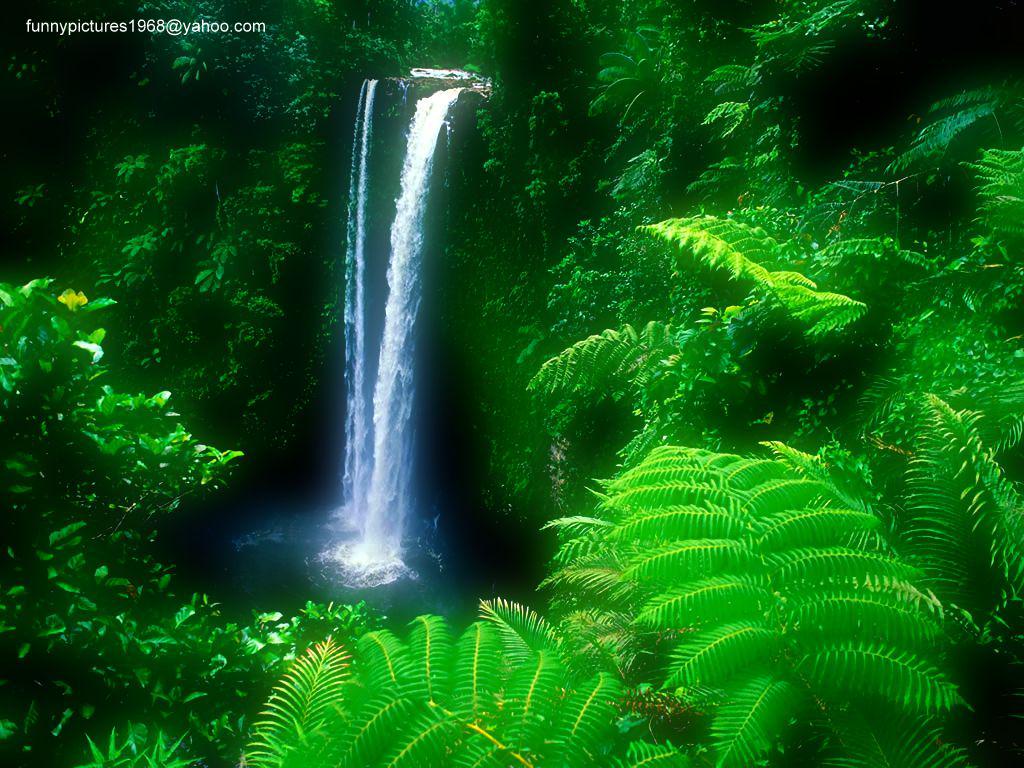 hotalling's tweet image. 