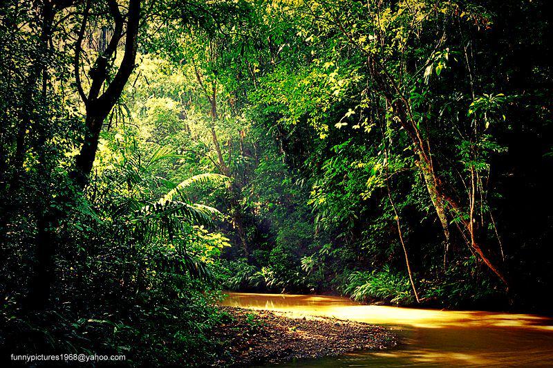 hotalling's tweet image. 