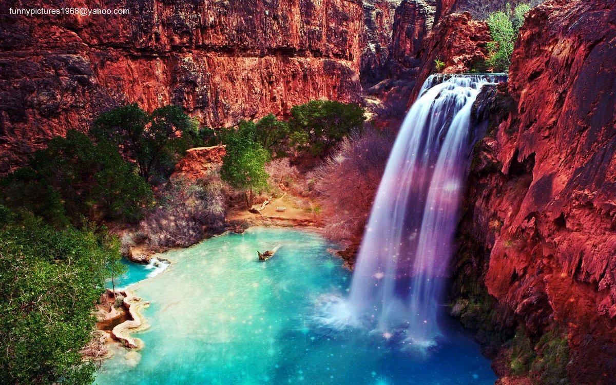 hotalling's tweet image. 