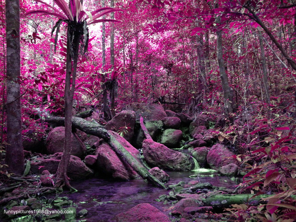 hotalling's tweet image. 