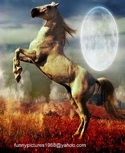 hotalling's tweet image. 