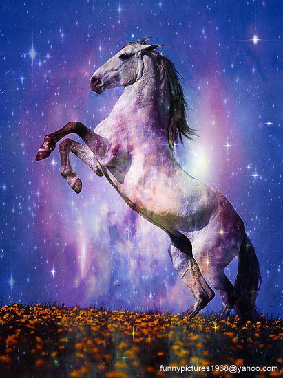 hotalling's tweet image. 