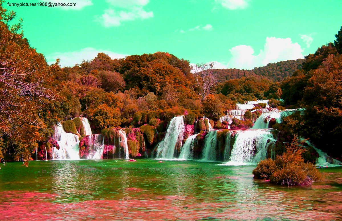 hotalling's tweet image. 