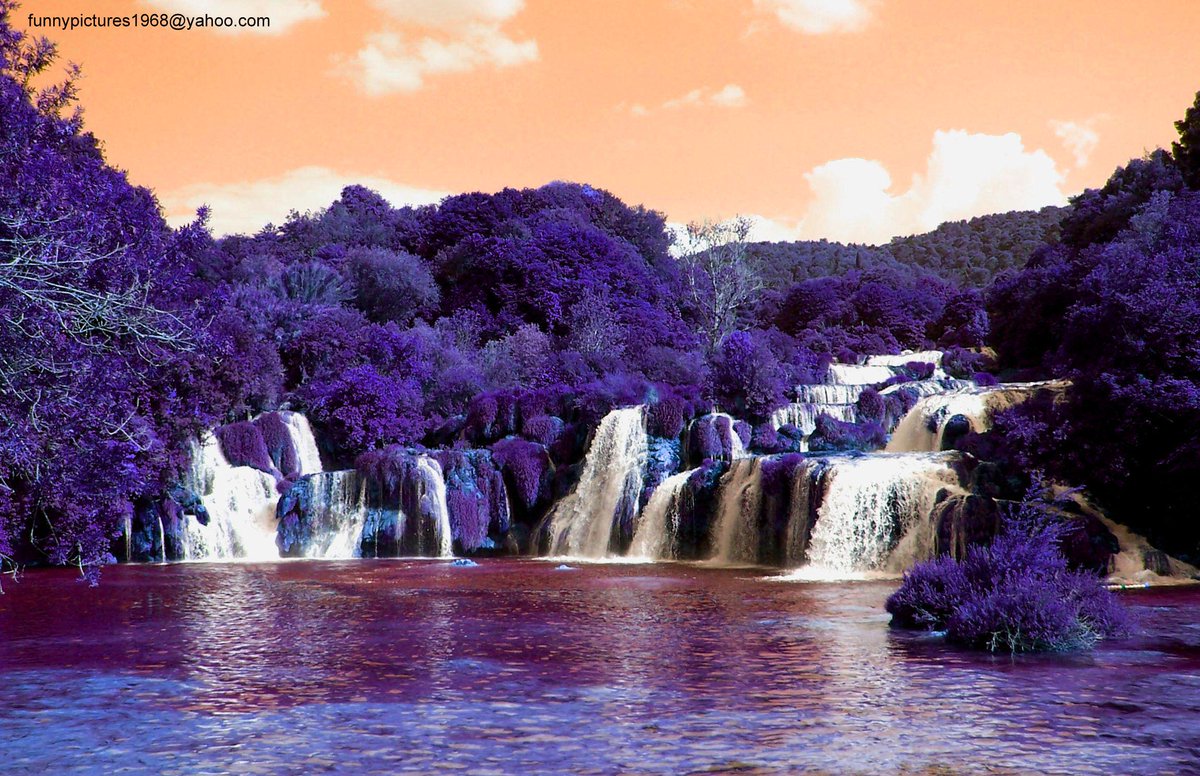 hotalling's tweet image. 