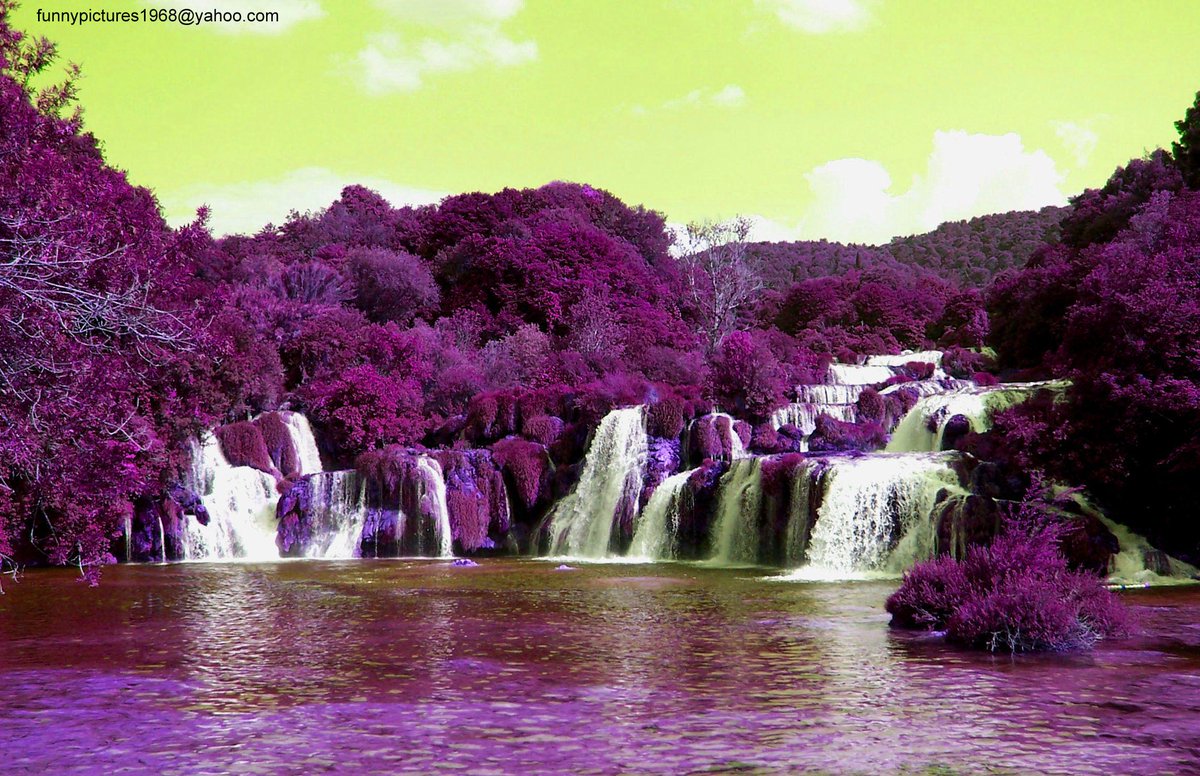 hotalling's tweet image. 