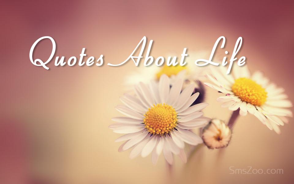 SmsZoo's tweet photo. http://t.co/zRxTmAqf6w
Quote About Life Lesson, Death, journey, Relationship, Love, Friends, Son, Partner and Wife.. http://t.co/9ZUkDaBRUY