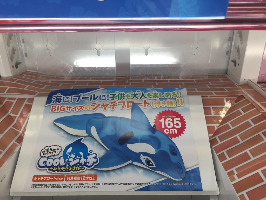 ジョイジャングル美浜店 Twitterren Jjmihama デカイ 迫真 夏と言えば 海 そう 海といえば 浮き輪 浮き輪と言えばイルカでしょう ノ 超bigなcoolシャチが入荷しました ぜひgetしてね Oo さっきイルカ言うてたがな Http T Co Omlbxryj6t ジョイジャングル美浜店 Twitterren Jjmihama デカイ 迫真 夏と言えば 海 そう 海といえば 浮き輪 浮き輪と言えばイルカでしょう ノ 超bigなcoolシャチが入荷しました ぜひgetしてね Oo さっきイルカ言うてたがな Http T Co Omlbxryj6t