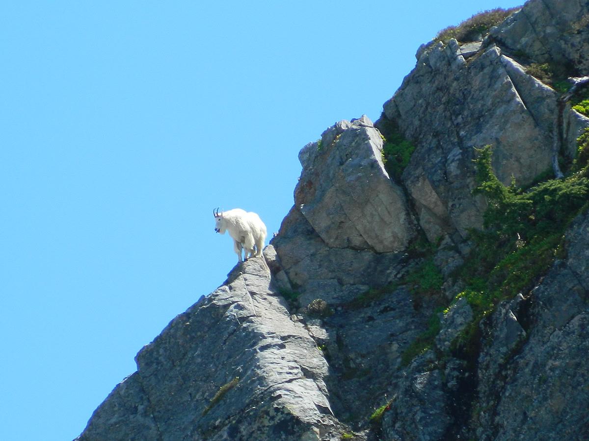 ShirleyRamlock's tweet photo. Just been on a little holiday. Thought it would be funny to pose naked on a sacred mountain, I got a bit told off. http://t.co/zsDqj2uRtk