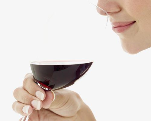 mvitienoUMH's tweet photo. Más que enólogas http://t.co/JDT3RbHfgj en @bodegalicantina #viticultura #enología #vino http://t.co/5GxgRjFyes