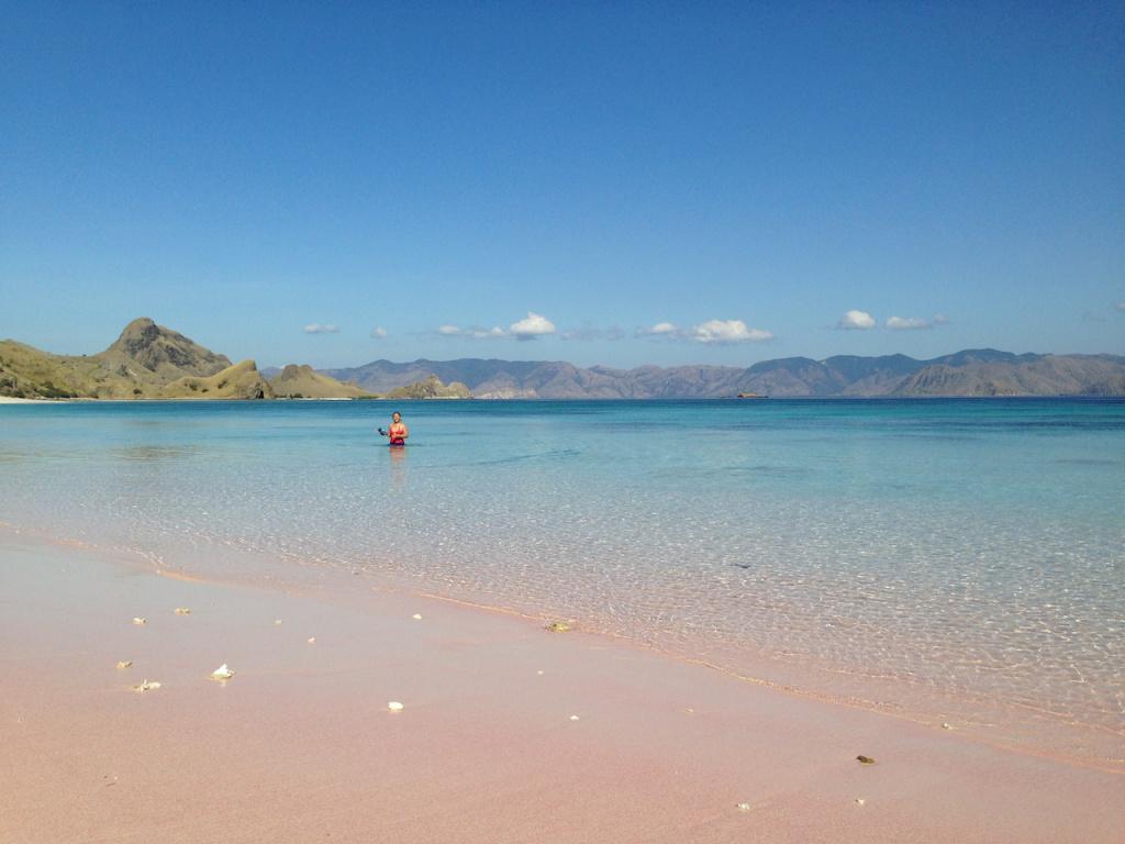 arasuuu's tweet image. komodo islands DAY TWO : shocking pink! tabiyoga.wordpress.com/2015/07/09/kom…