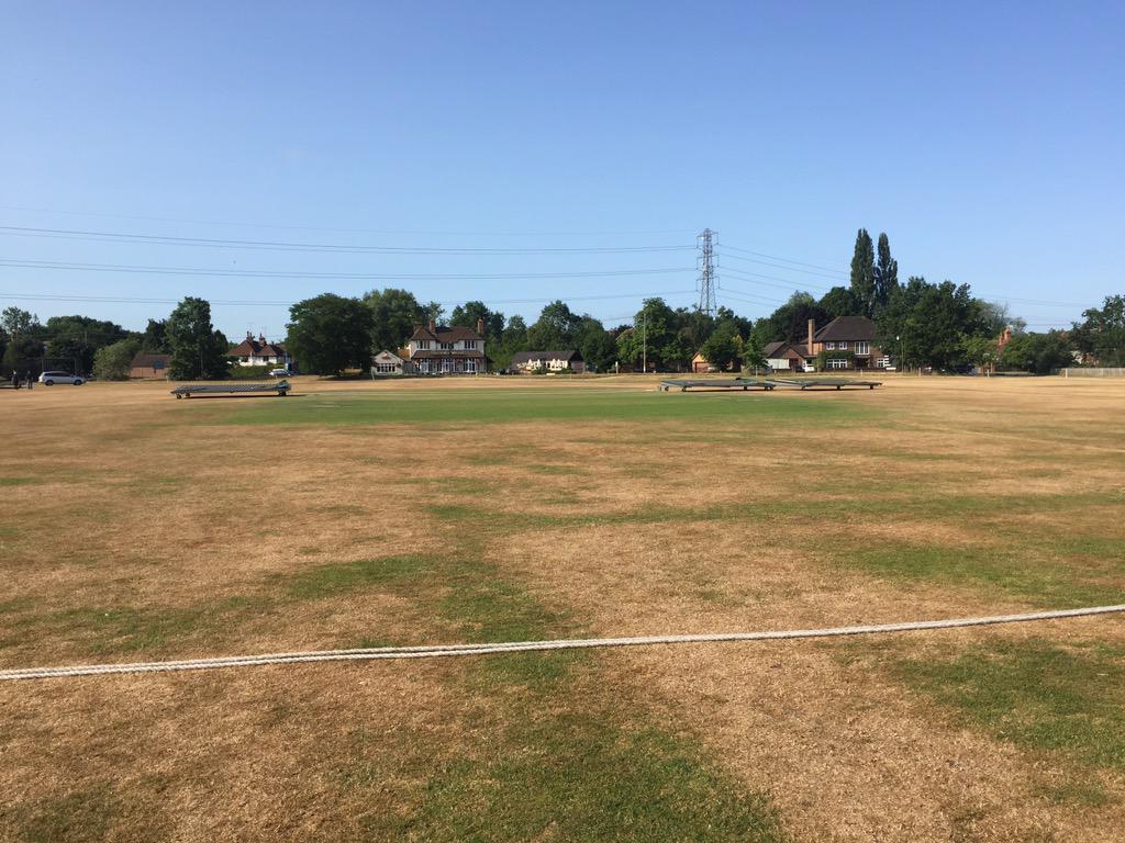 ECCLashings's tweet photo. The ground is looking perfect for today's event! @eversleycc @LashingsWorldXI http://t.co/6yOxsBVMup