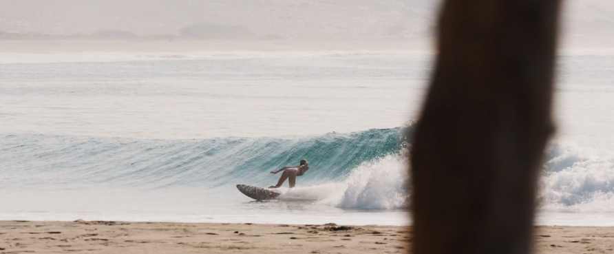 melanics_com's tweet photo. La Pro surfer @leila_hurst nos deja esta sesión en Los Angeles.

http://t.co/JQstryVeHN

v/ @hoohbe #Surf

#Melanics http://t.co/PONybcAFVB