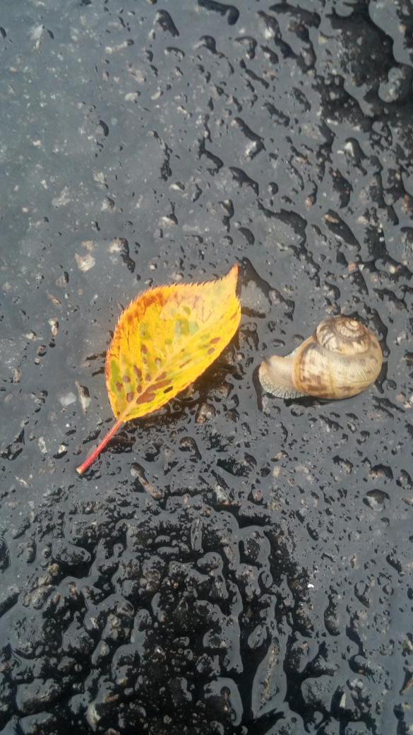 꼬마천사 (@home10591) on Twitter photo 