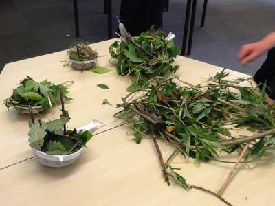 Science club prove they can beat the birds at nest building!: In science club, we have been... tinyurl.com/qax9bqf