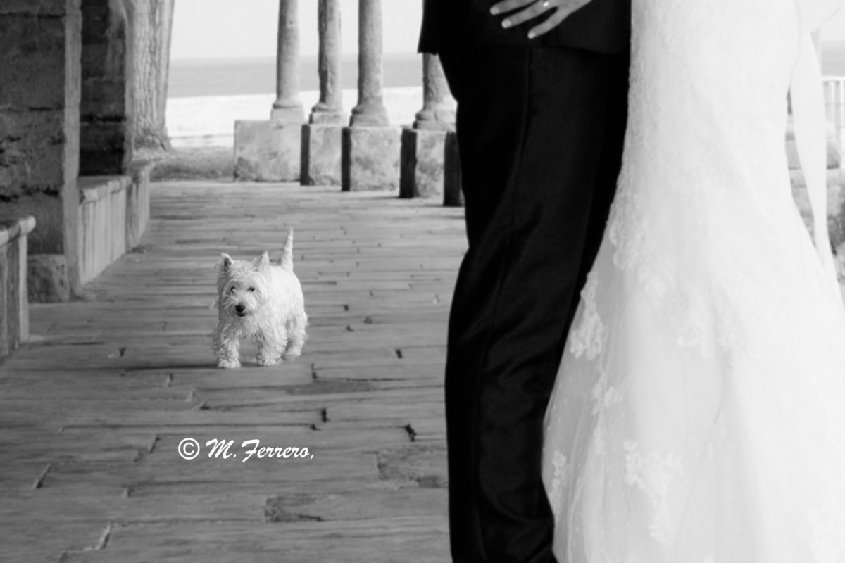 1912_monse's tweet photo. El también es importante...... http://t.co/NMsi2Fi3Of