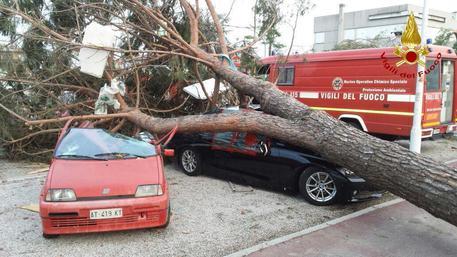 Agenzia_Ansa's tweet photo. #Trombadaria choc nel #Veneziano, un morto e almeno 72 feriti FOTO e VIDEO http://t.co/S2TiXaDIAT http://t.co/VnWJcJWsaq