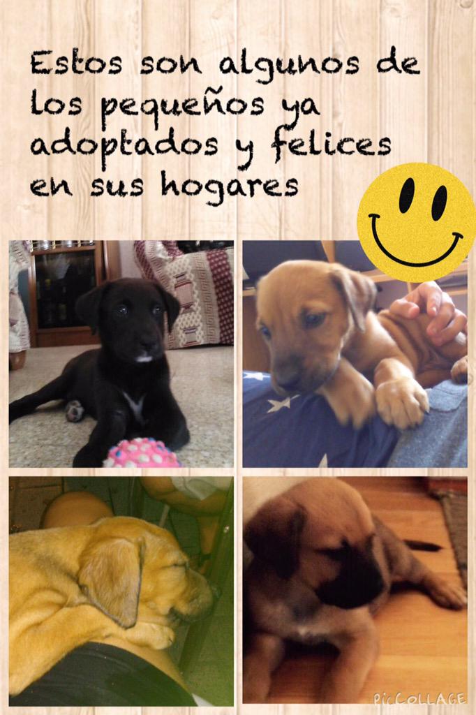 tresmenda's tweet photo. http://t.co/NKQQ6lzPtL