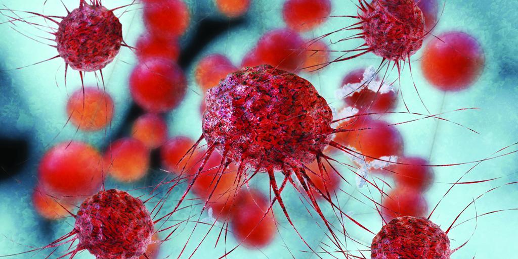 Dr. Zena Werb <a href="/UCSF/">UC San Francisco</a> discusses the tumor microenvironment with <a href="/CancerTodayMag/">Cancer Today</a>: the.aacr.org/gxe