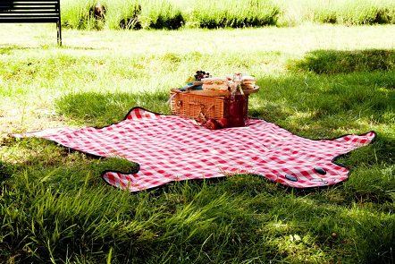 коврик пляжный рич фэмили. детский коврик для пикника. коврик wildman милитари д/пикника 150*180см. вещи для пикника. коврик для отдыха на природе.