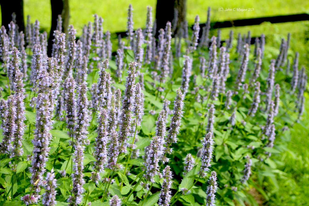 Happy Thursday everybody.