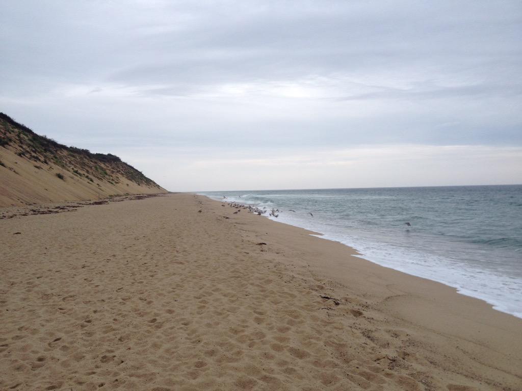 DAFlymann's tweet image. A walk along the beach #CapeCodTime
