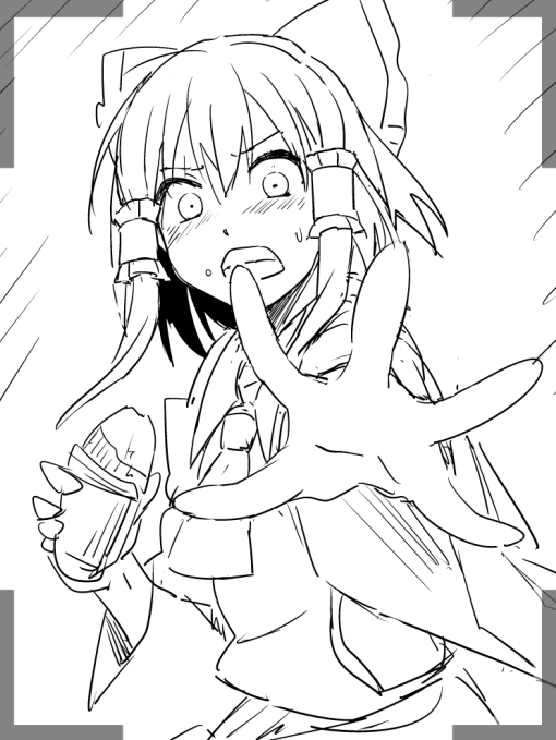 写真嫌いな霊夢 