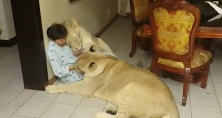 Trevolta.com tweet media