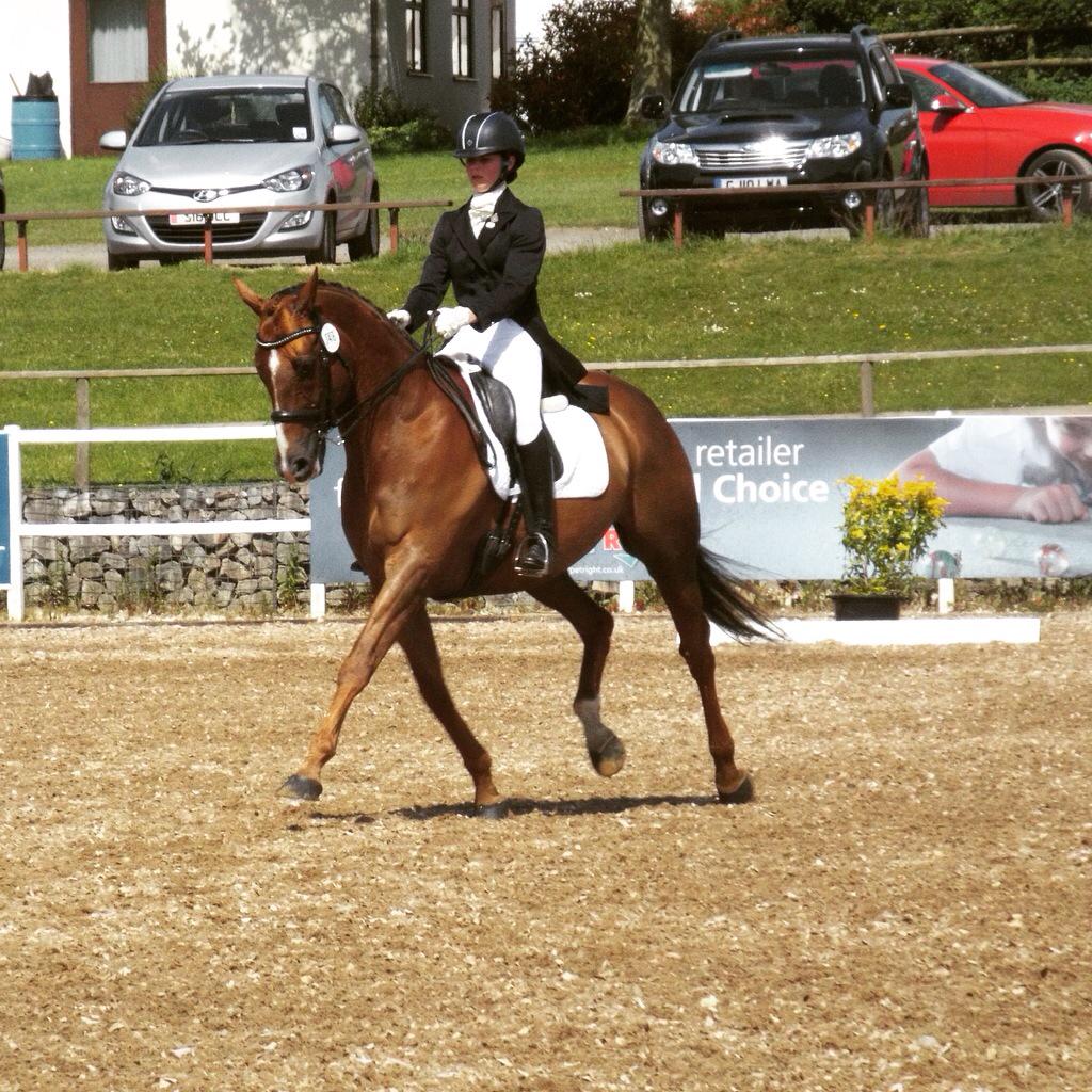Zac at the welsh dressage champs #dressage #welshchamps