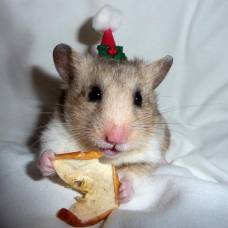 zPicture's tweet image. 