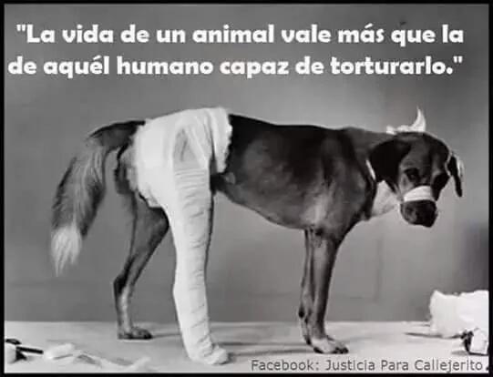 Jesusrz78R's tweet photo. Estoy completamente de acuerdo con el mensaje de esta imagen, el ser humano debe analizarse así mismo... http://t.co/DAbiD9Z1ZI