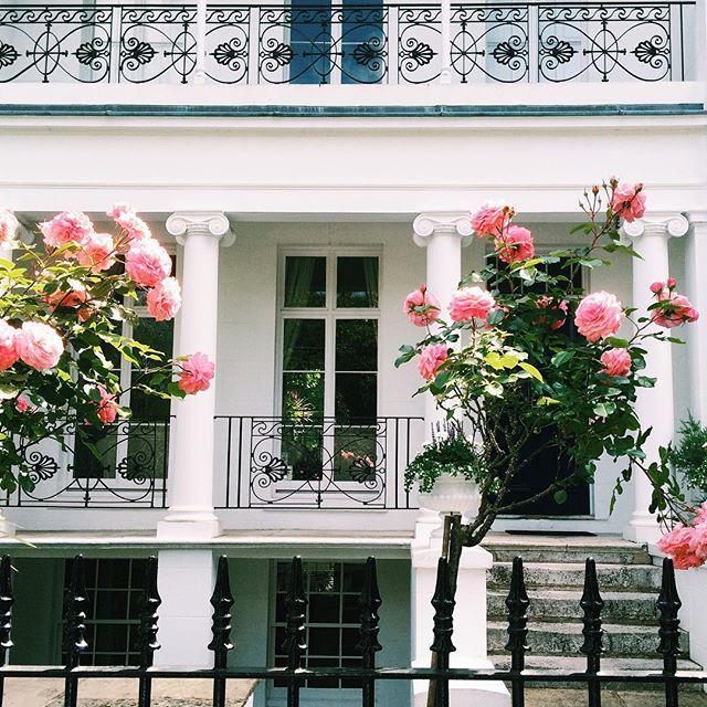 Catching the #roses before they die - #housesoflondon 💗💕#prettycitylondon by siobhaise