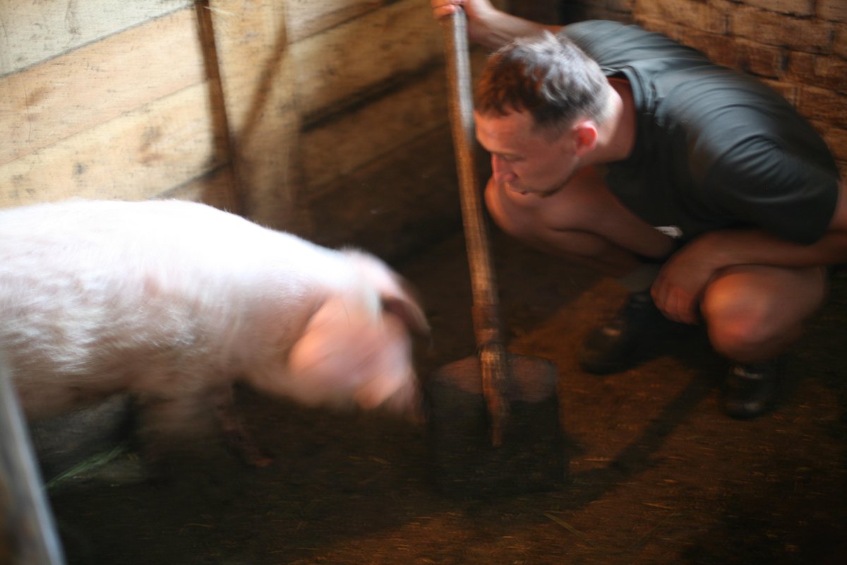 mi15lost's tweet image. ребята очень тяжело работали, для того чтобы заработать помощь на остров #mi15lost