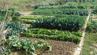 terraXchange's tweet photo. Troppo caldo, troppo umido http://t.co/QIDaGkCUlf http://t.co/bN2Mx1t8zl