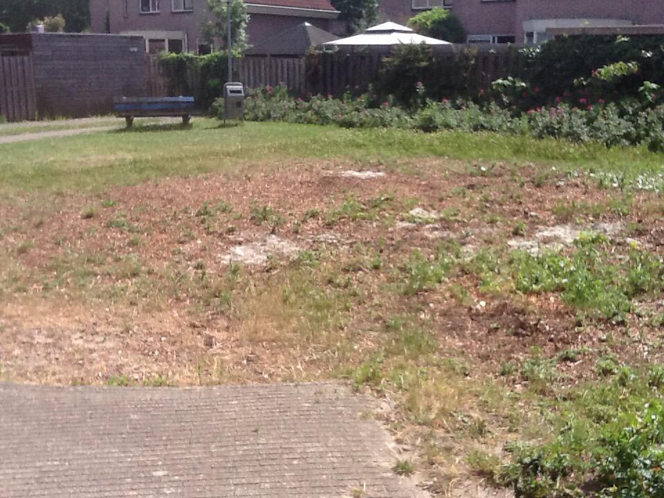 Ineens is de speeltuin weg! Geen info gekregen van <a href="/almere/">almere</a>. Vreemd. We hebben wel een suggestie: Pannaveldje hier!