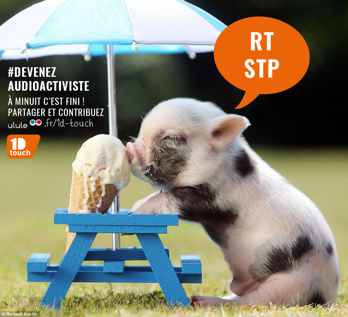 DivercitiesKsq's tweet photo. Aujourd'hui : DERNIER JOUR de notre collecte sur http://t.co/zX1xEjJGlg Partagez l'info! Contribuez! #LastCall http://t.co/Rezwtx2O7y